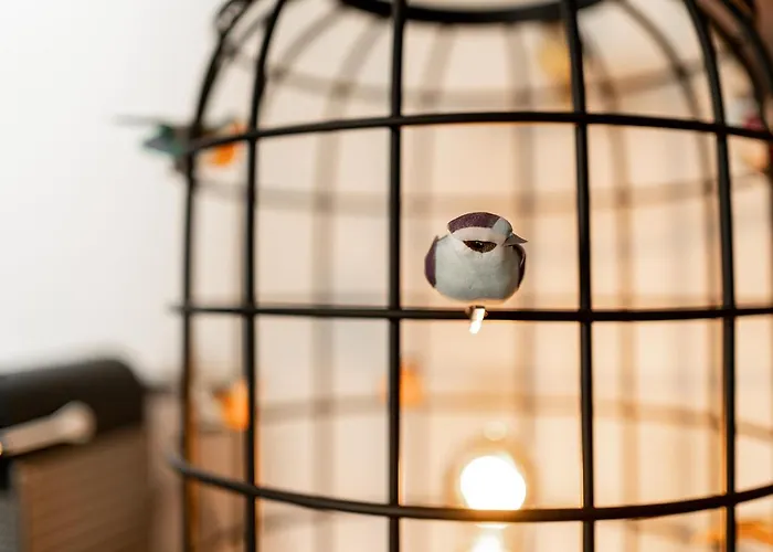 Отель Bossche 3*