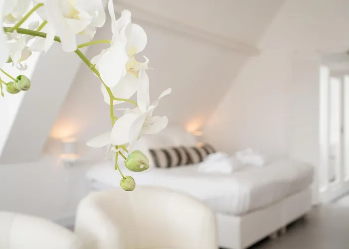 Hotel Bossche No2 - Verwersstraat 3*